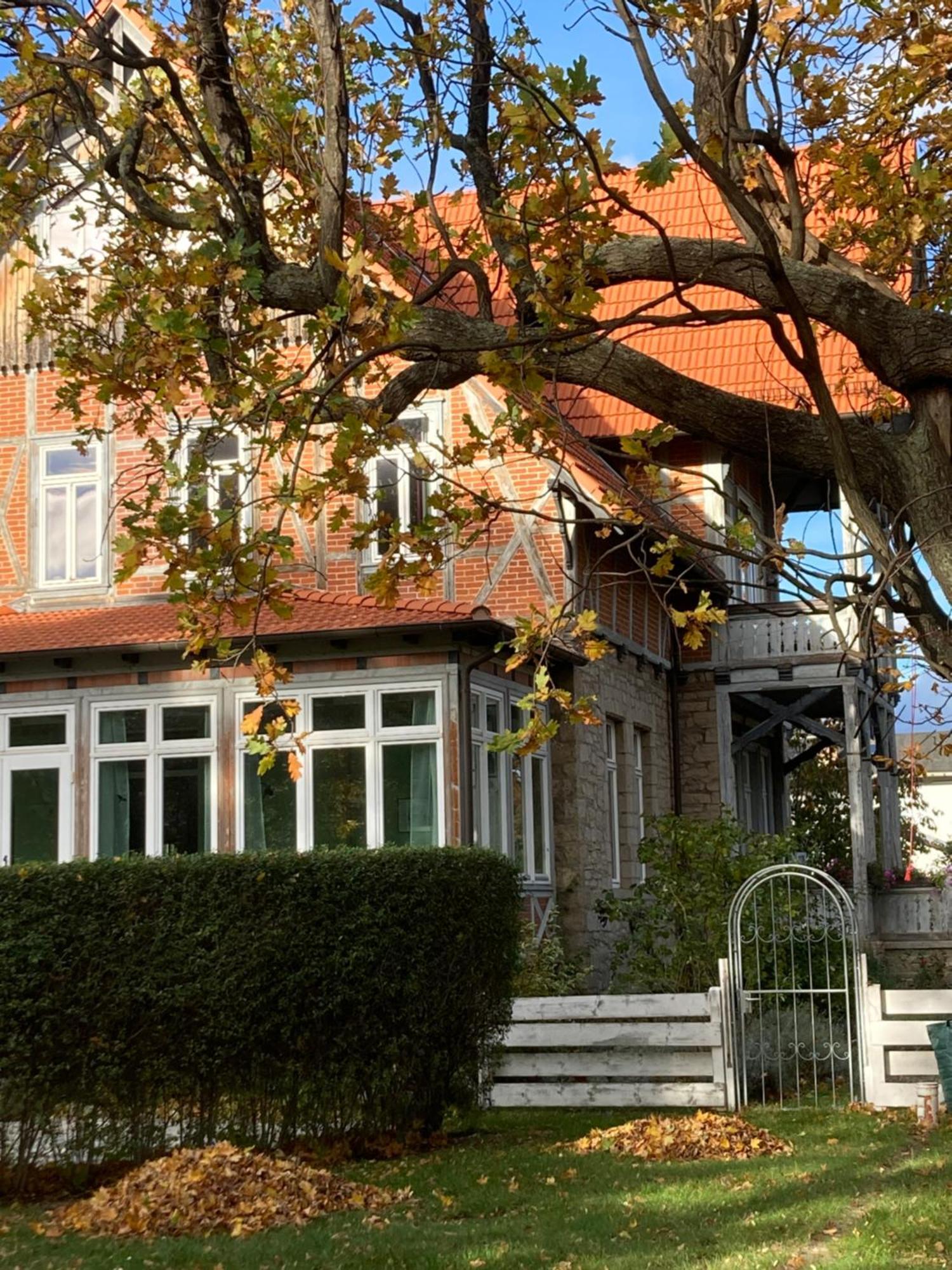 Gaestehaus Musestieg 塔勒 外观 照片