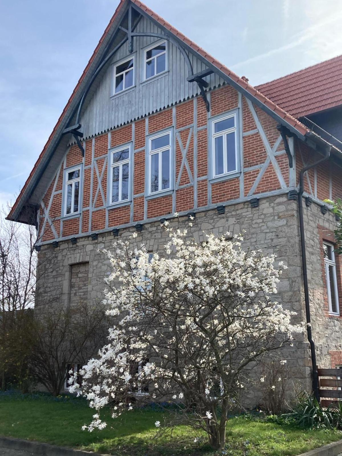 Gaestehaus Musestieg 塔勒 外观 照片